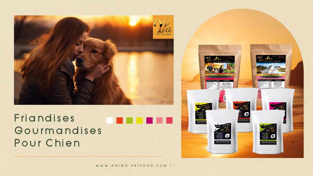 Friandises et Gourmandises pour Chiens : Le Plaisir Canin